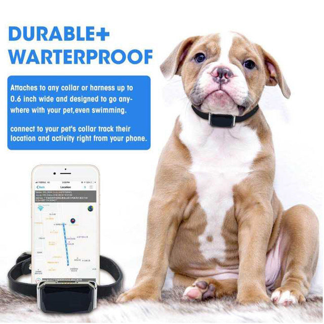 New!! GPS Tracker for Pets