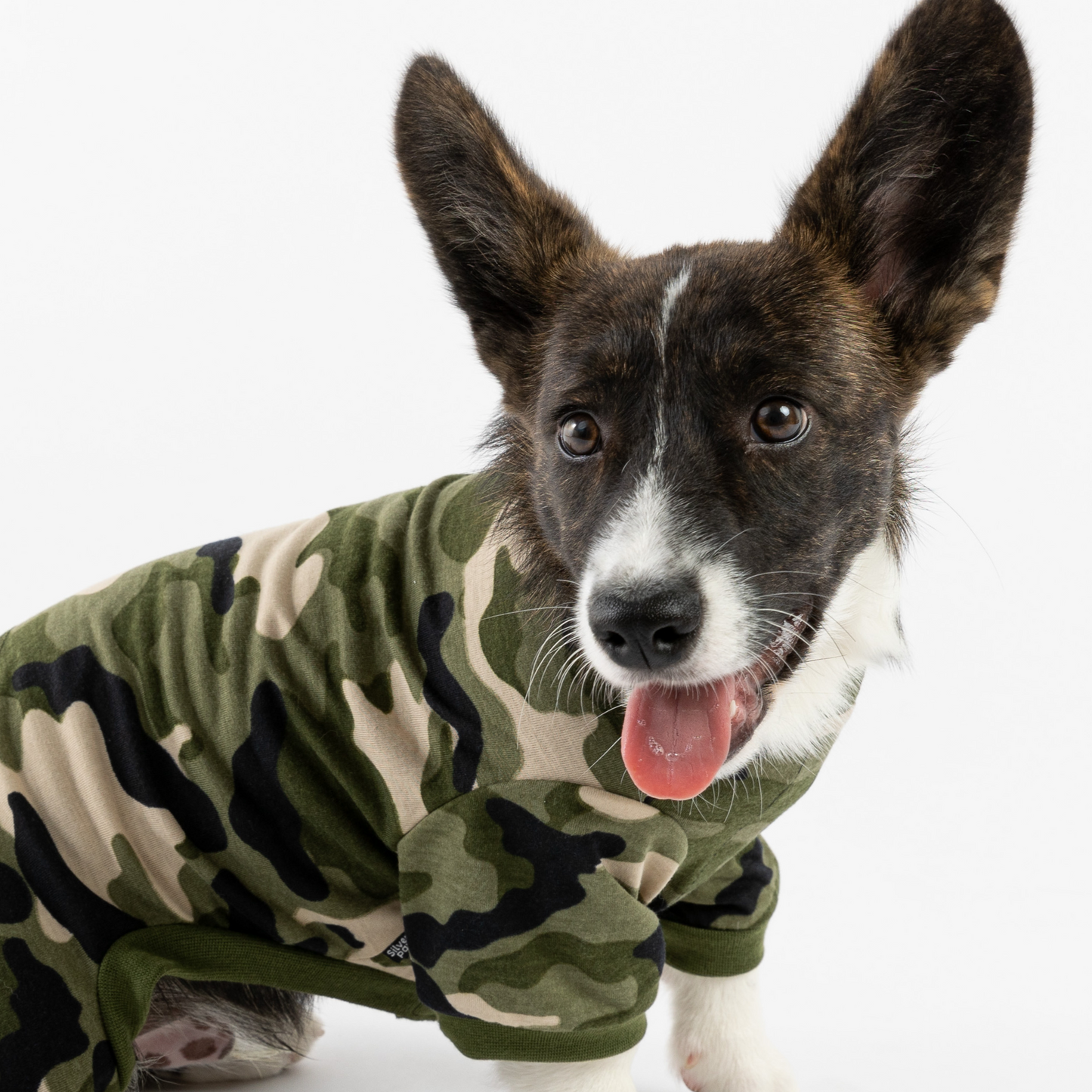 ๐ถ๐ฟ Camo Dog Pajamas โ Cozy & Stylish Matching PJs for Your Pup!