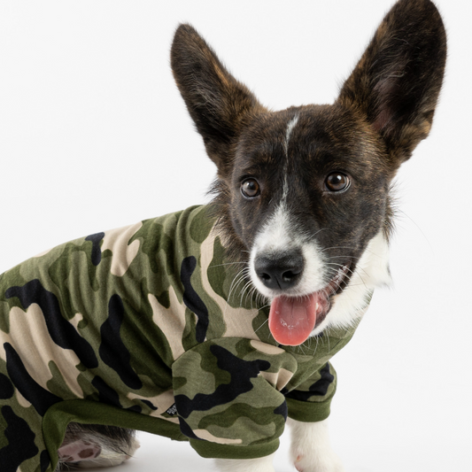 🐶🌿 Camo Dog Pajamas – Cozy & Stylish Matching PJs for Your Pup!
