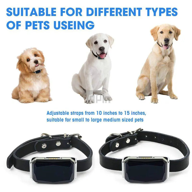 New!! GPS Tracker for Pets